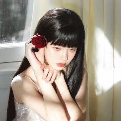 摩比小子大电影